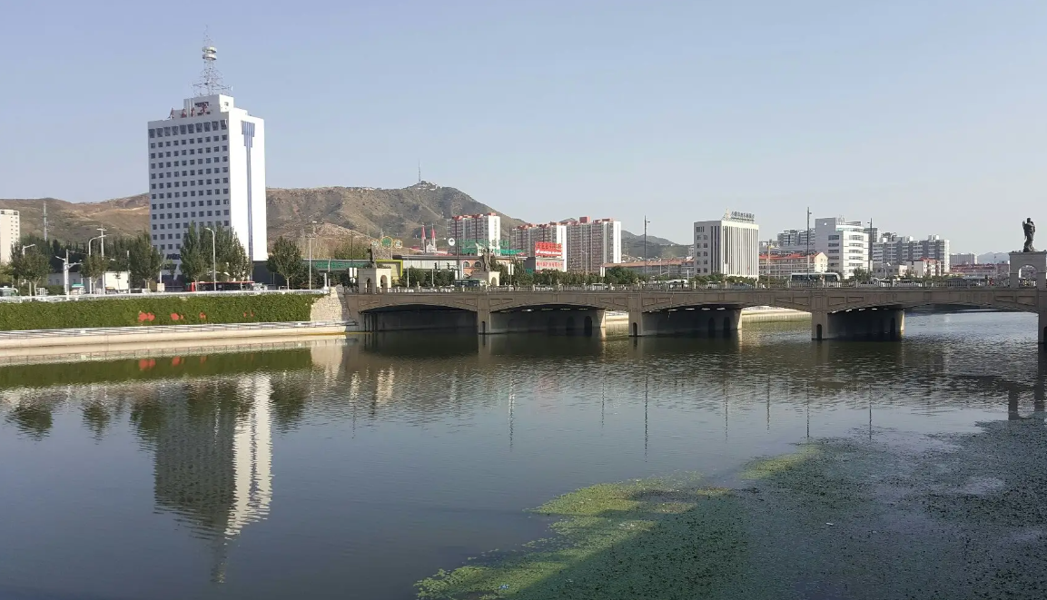 河北省某县社会治理平台